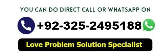 Professor Syed Suleman Shah 
